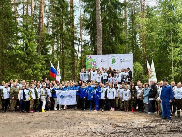 В Арзамасском округе высадили 17 тысяч сосен в акции «Сад Памяти» - Нижегородская правда, 30.05.2026