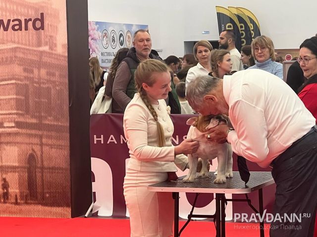 Сотни собак и кошек приехали на выставку в Нижний Новгород - Нижегородская правда, 03.10.2026