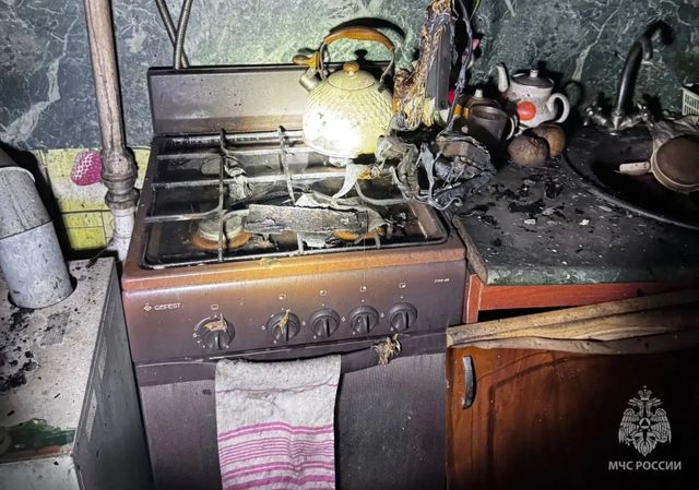 В Нижегородской области пенсионерка погибла из-за неисправного холодильника - Нижегородская правда, 17.10.2026