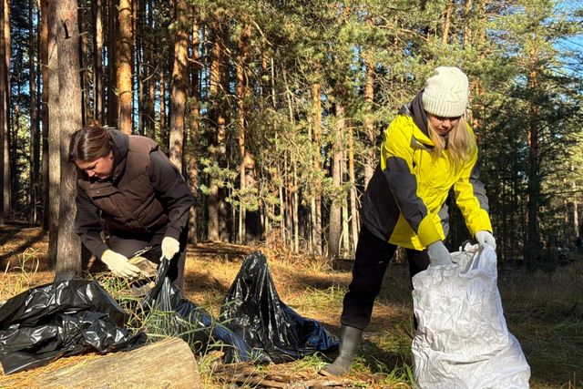 Очистные сооружения Богородска показали эффективную работу с загрязнителями - Нижегородская правда, 23.10.2026