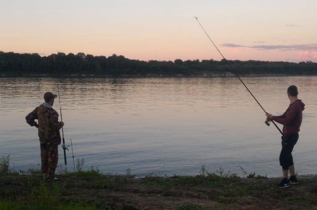 Нижегородцам рассказали о пользе, вреде и нормах потребления соли - Нижегородская правда, 25.10.2026