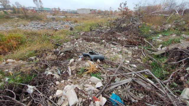 Свалка стройматериалов в Дзержинске нанесла ущерб почвам на 185 тысяч рублей - Нижегородская правда, 29.10.2026