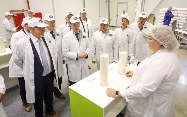 «Молвест» построит в Воронежской области завод за 8,5 млрд рублей - Время Воронежа, 04.07.2025