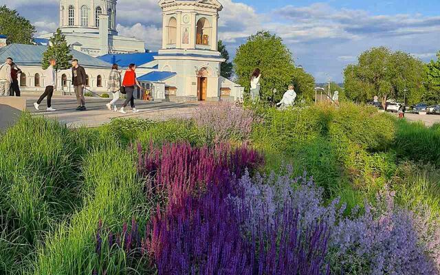 84% воронежцев требуют новых зеленых насаждений в городе - Время Воронежа, 09.07.2025