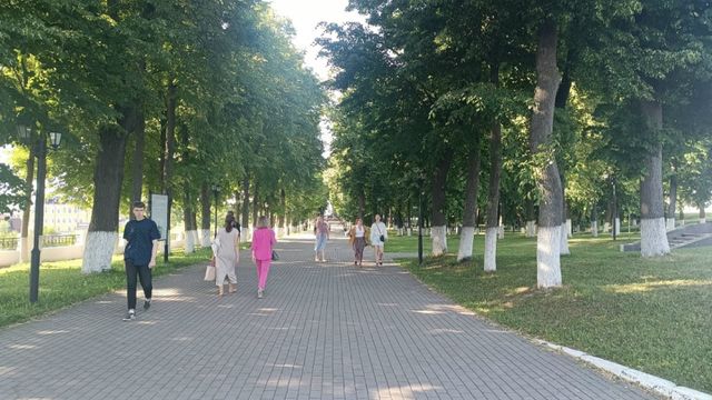Как родители сами воспитывают неблагодарных детей — и затем остаются одни: выводы из мыслей Александры Марининой - Время Воронежа, 26.08.2026