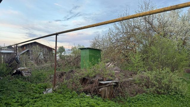 Про соду навсегда забыл — инженер раскрыл 2 способа очистить выгребную яму без откачки и запаха - Время Воронежа, 26.08.2026