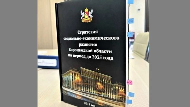 В Стратегию развития Воронежской области до 2035 года включат блок об ИИ - Время Воронежа, 27.08.2026