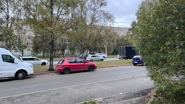 Тельцы, Львы, Скорпионы и Рыбы в гороскопе на 16 октября - Время Воронежа, 12.10.2026