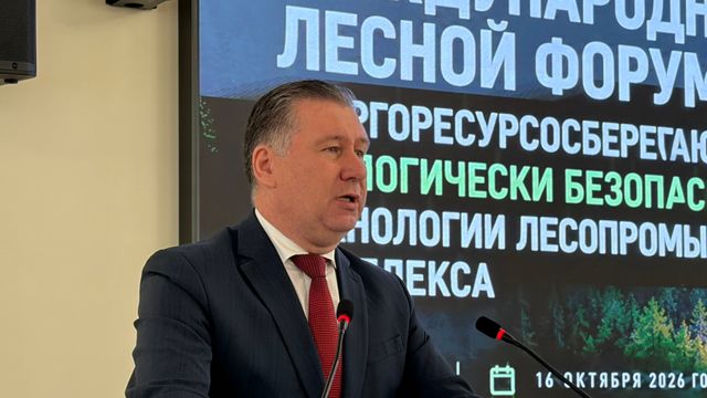 В Воронеже открыли международный форум по развитию лесной отрасли - Время Воронежа, 18.10.2026