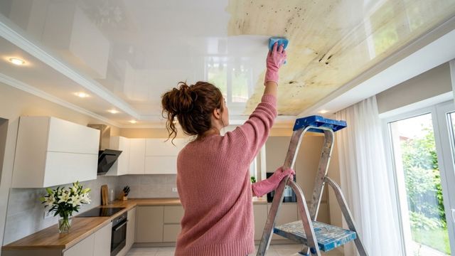 3 капли на губку — и натяжной потолки вновь белоснежный: простой способ избавиться от грязи без разводов - Время Воронежа, 21.10.2026