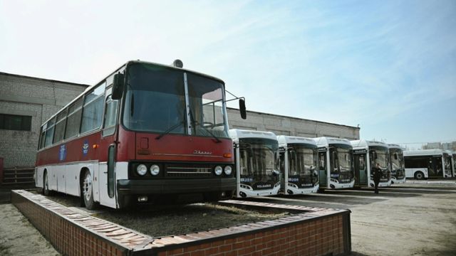 В Воронежской области поздравили работников автотранспорта с праздником - Время Воронежа, 25.10.2026