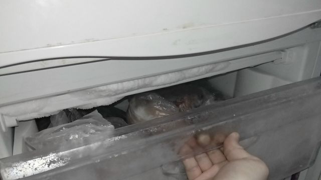 Морозилка больше не обрастает ледяной шубой: простой трюк с аптечным средством — работает на раз-два - Время Воронежа, 25.10.2026