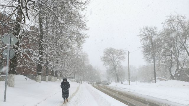 Мощные метели и резкие оттепели — россиян ждёт зима "без правил": одна из самых нервных зим за последние 25 лет - Время Воронежа, 25.10.2026
