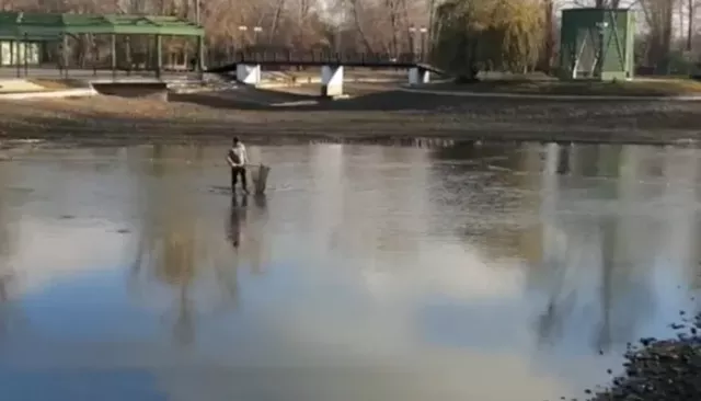 В барнаульском парке "Изумрудный" показали, как вылавливают карпов на зимовку - Толк, 22.10.2024