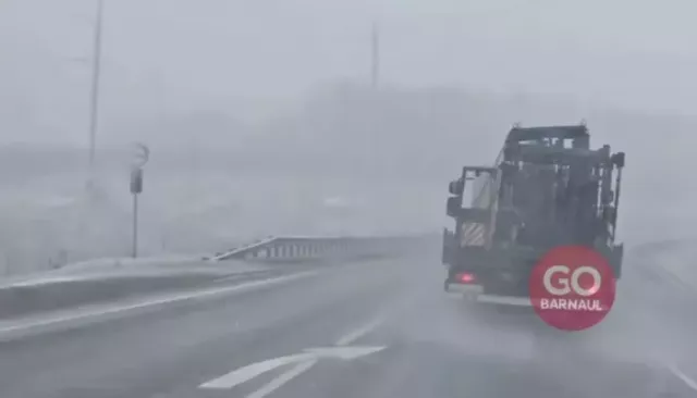 Снежная буря: непогода в Алтайском крае затруднила движение на дорогах - Толк, 29.10.2024