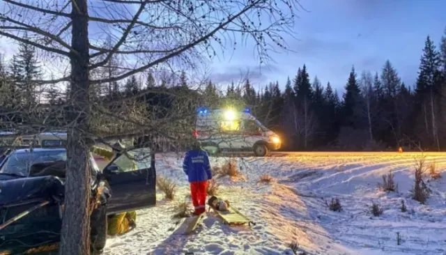 В Горном Алтае Toyota RAV4 слетела с трассы в дерево. Пострадал водитель - Толк, 22.11.2024