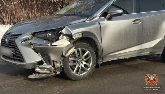 Lexus сбил пенсионерку и девятилетнего ребенка в Бийске - Толк, 07.02.2025