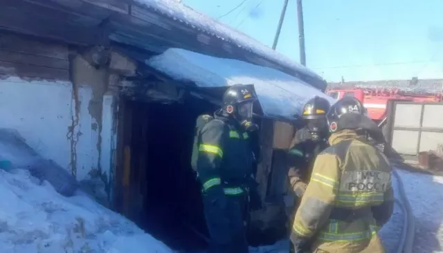 В Камне-на-Оби два человека погибли при пожаре в частном доме - Толк, 17.03.2025