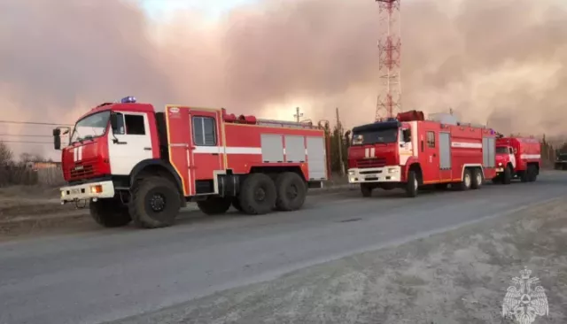 Бойцы МЧС в Алтайском крае за сутки потушили 40 пожаров - Толк, 09.05.2025
