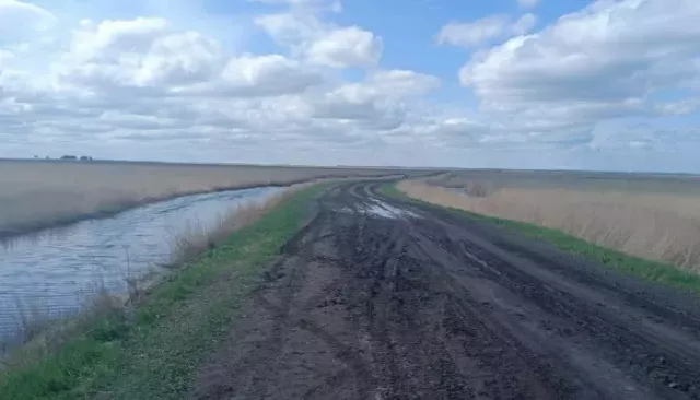Три человека погибли при опрокидывании "Нивы" на трассе в Новосибирской области - Толк, 12.05.2025