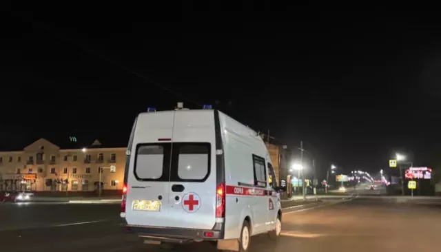 Под Бийском лось стал виновником ДТП с двумя пострадавшими - Толк, 16.05.2025