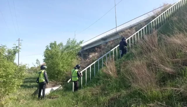 В Алтайском крае предотвратили условный теракт на мосту и заражение рыбзавода - Толк, 16.05.2025