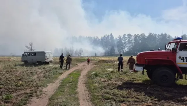 В Алтайском крае остановили лесной пожар в Ключевском районе - Толк, 18.05.2025