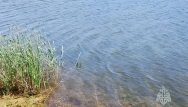 Тело утонувшего в Славгороде мужчины достали из воды спустя сутки - Толк, 21.06.2025