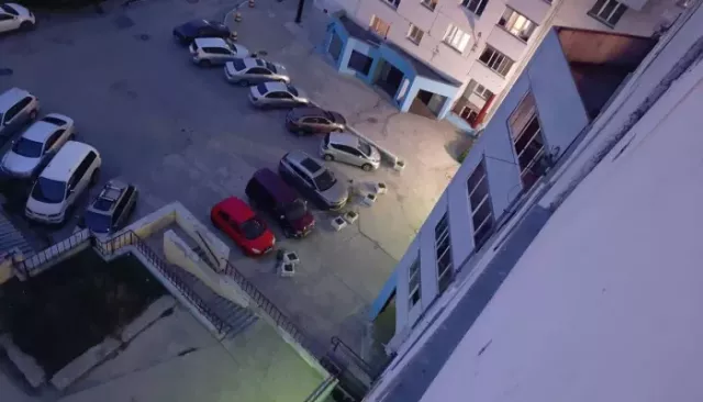 Уголовное дело о стрельбе по детской площадке в Барнауле передали в суд - Толк, 01.07.2025