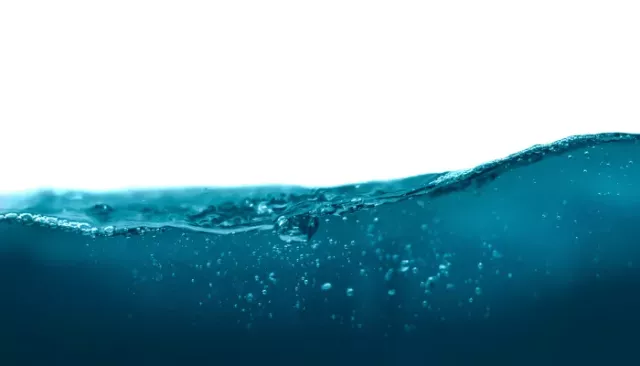 В водоемах Республики Алтай нашли фекальное загрязнение - Толк, 08.07.2025