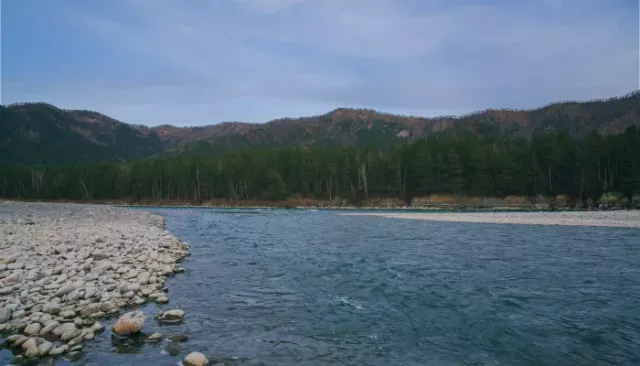 В Республике Алтай двух жителей Бийска унесло течением в Катунь - Толк, 10.07.2025