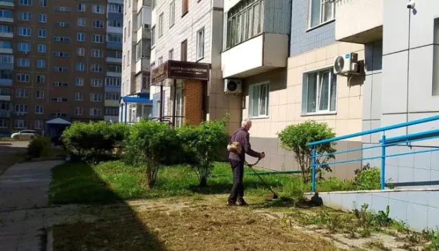 В Барнауле скашивают траву во всех районах города. Фото - Толк, 11.07.2025