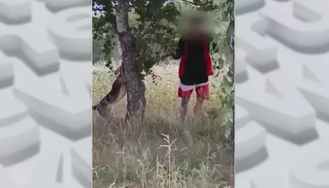 Живодер в Барнауле пытался задушить свою собаку на глазах у прохожих - Толк, 30.07.2025