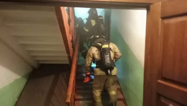 Житель Бийска погиб при пожаре из-за непотушенной сигареты Житель Бийска погиб при пожаре из-за непотушенной сигареты - Толк, 13.08.2025