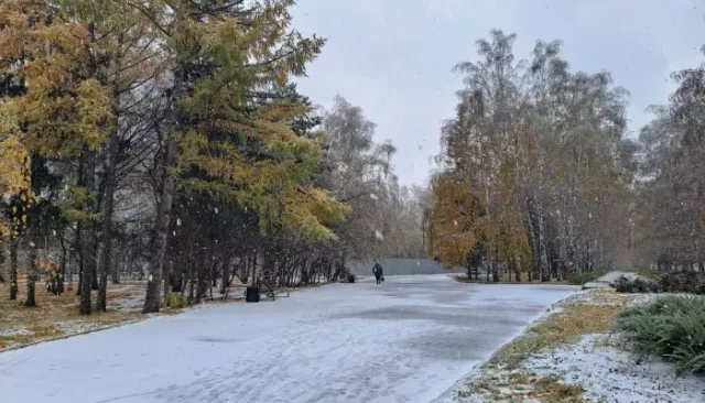 Три дня дождя, снега и заморозков ожидаются в Алтайском крае - Толк, 02.10.2025