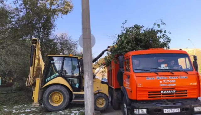 Барнаульцы вооружились граблями и вышли на очередной "чистый четверг". Фото - Толк, 24.10.2025