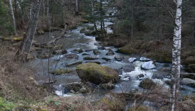 Мокрый снег с дождем накроют Алтайский край 3 ноября - Толк, 03.11.2025