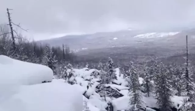 В районе пропажи семьи Усольцевых в Красноярском крае нашли тело мужчины - Толк, 03.11.2025