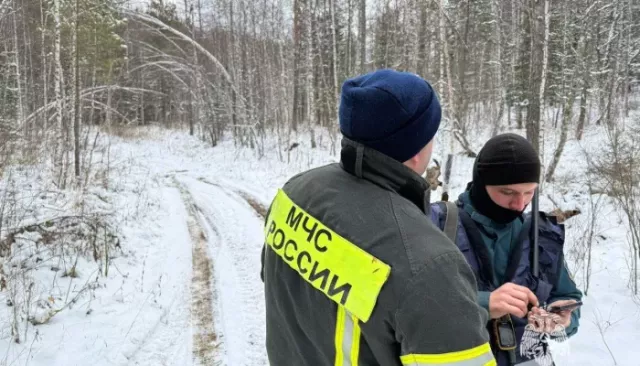 "Алтайский Маугли" рассказал, есть ли шанс у семьи Усольцевых найтись живыми - Толк, 07.11.2025