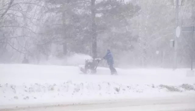 Теплее, но холоднее: чем может удивить жителей Алтайского края грядущая зима. Прогноз Теплее, но холоднее: чем может удивить жителей Алтайского края грядущая зима. Прогноз - Толк, 07.11.2025