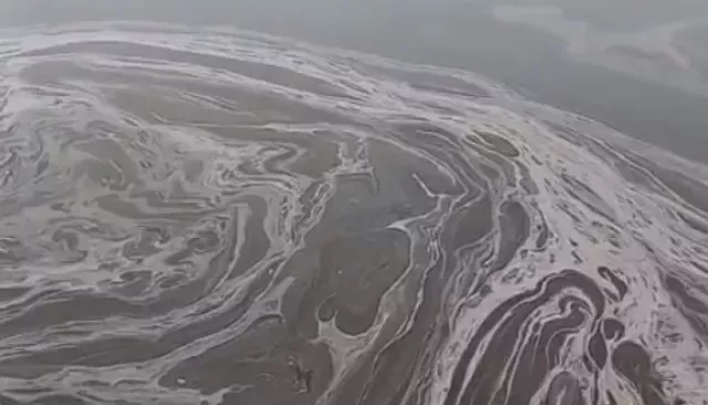 Жители Бийска переживают за здоровье лебедей из-за непонятной жижи в Бии - Толк, 10.11.2025