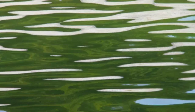 Ад, Гнилое, Жирное: озера Алтайского края оказались в списке "необычных" водоемов - Толк, 11.11.2025