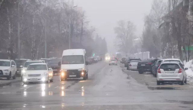 Промозглая и ветреная погода продолжает властвовать в Алтайском крае - Толк, 13.11.2025