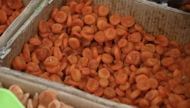 Мороз не испугал: барнаульцы потратили на финальных ярмарках осени 8,5 млн рублей - Толк, 16.11.2025