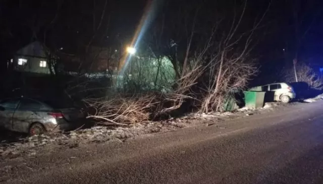 В Республике Алтай два автомобиля Hyundai не поделили дорогу и зацепили пешехода В Республике Алтай два автомобиля Hyundai не поделили дорогу и зацепили пешехода - Толк, 18.11.2025