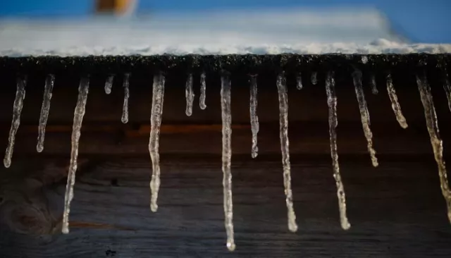 В Алтайский край идет тепло до +7 градусов, а потом – похолодание с ветром - Толк, 18.11.2025