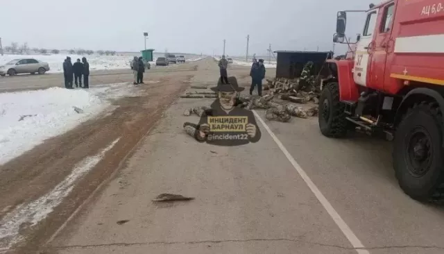 Смертельное ДТП устроил водитель грузовика без прав в Алтайском крае - Толк, 23.02.2026