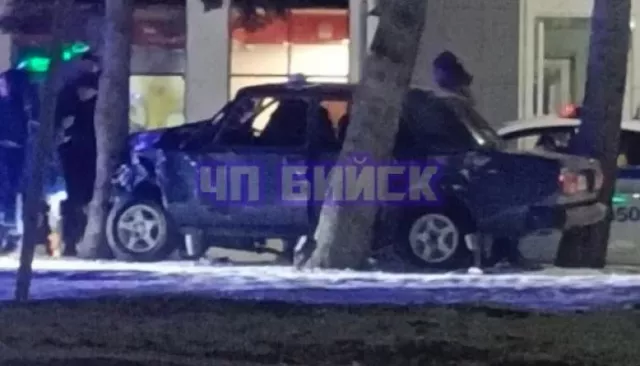 Четыре человека пострадали в ночном ДТП с деревом в Бийске - Толк, 03.03.2026
