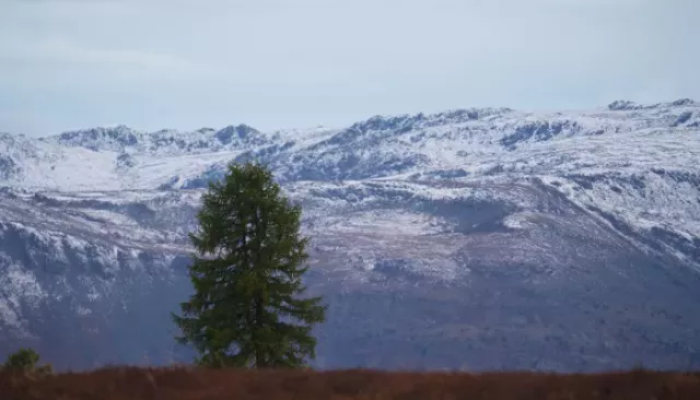 В Республике Алтай уже год ищут бесследно пропавшего мужчину - Толк, 05.03.2026