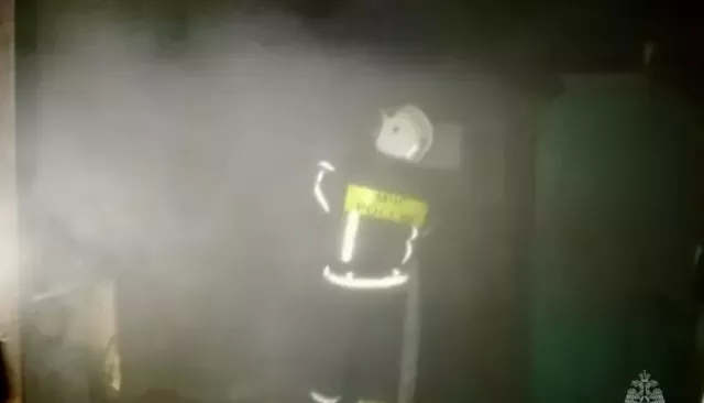 В Алтайском крае два человека получили ожоги при пожаре из-за стиральной машинки - Толк, 07.03.2026